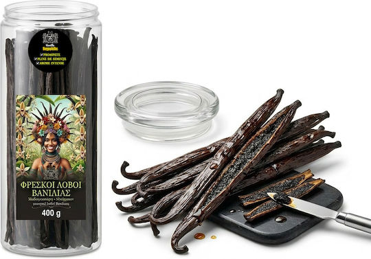Republic Boboci Proaspeți de Vanilie în Stick 400gr