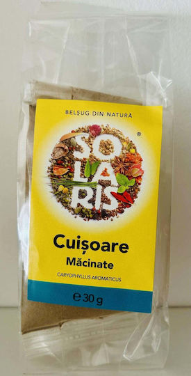 Solaris Plant Γαρύφαλλο 30gr