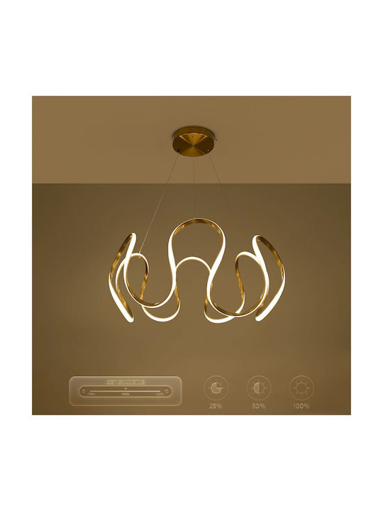 kelvo Tarantula Ceiling Light Gold LED With Adjustable Warm To Cool White Light 78x78x31.5cm