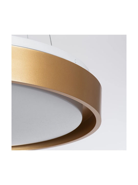 kelvo Barchetta Plafonieră de Tavan 48 cm Aurie cu LED Integrat