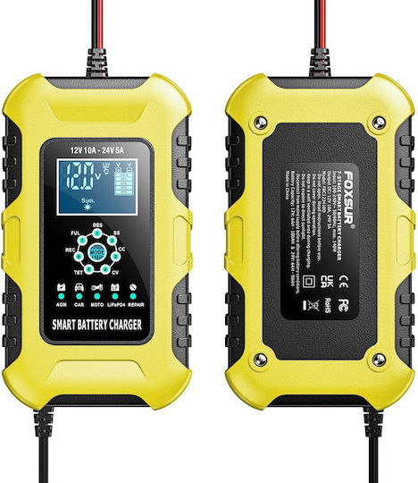 Foxsur Car Battery Charger 12/24V