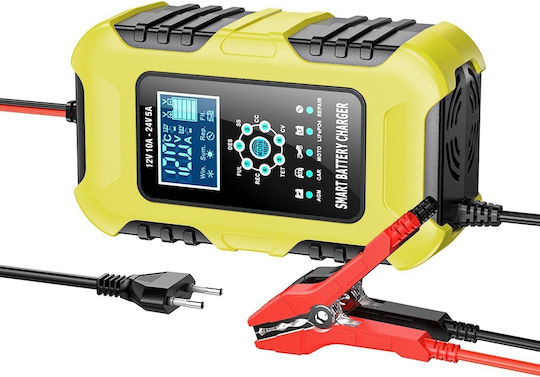 Foxsur Car Battery Charger 12/24V