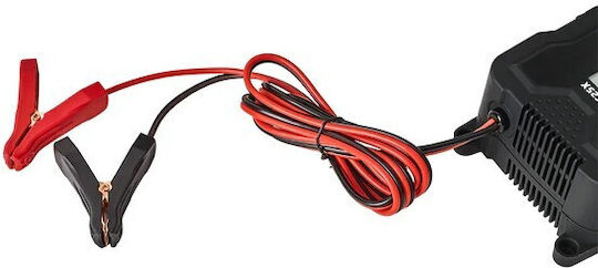 Auto-Connect Car Battery Charger 6/12/24V IBC25X