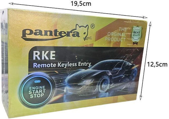 Startknopf Auto