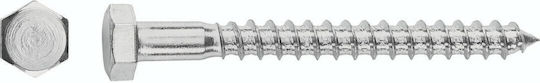 Goizper Coach Screw Galvanized DIN 571 with Length 6mm