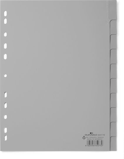 Durable Karton 10 Blätter Grau