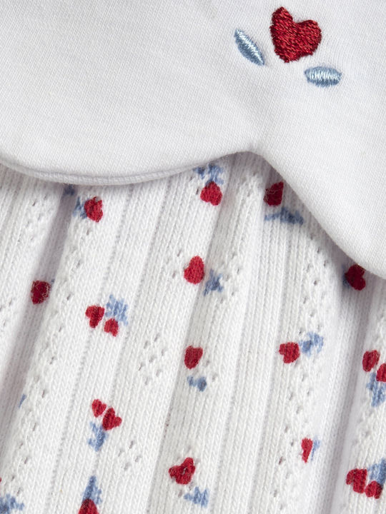 Chicco Φορμάκι Πολύχρωμο Chicco Φορμάκι Πολύχρωμο