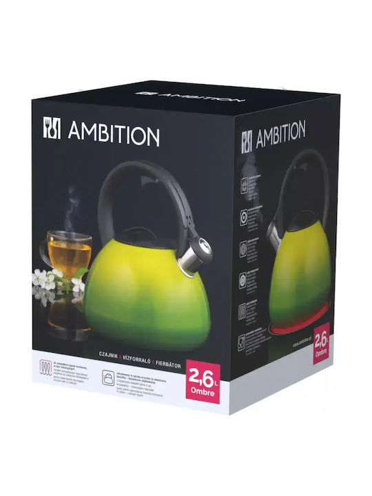 Ambition Ceainic Inoxidabil Gri 3000ml