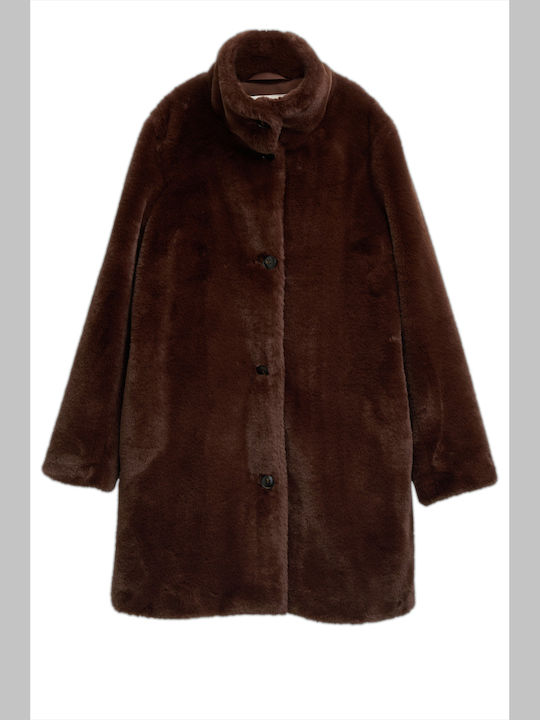 Short Women's Fur Dark Pecan Brown