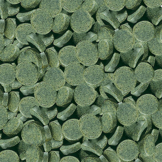 Sera Spirulina Tablete 24 Bucăți
