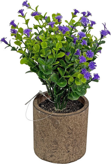 Lukia Dekorative Künstliche Blumen & Pflanzen Topfpflanze 20cm Lila 21155 Code 16383 Lukia Dekorative Künstliche Blumen & Pflanzen Topfpflanze 20cm Lila 21155 Code 16383