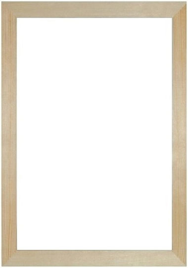Plastic Photo Frame With Transparent Frame