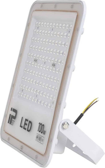 Proiector LED Etanș 100W Alb Rece 6000K IP66