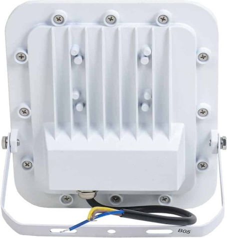Wasserdichter LED Flutlichter 30W Kaltweiß 6000K IP66