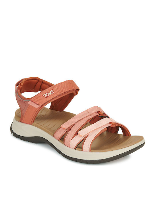 Teva
