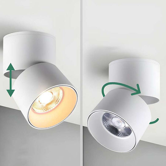 Atman LED Natural White Spot