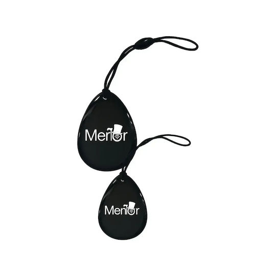 Proximity Card Tag Schlüsselanhänger RFID 125 Khz Mentor Sy080
