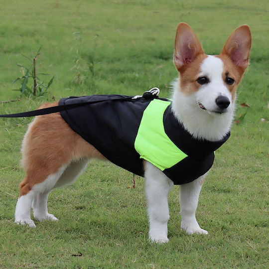Animal Dog Coat Green Back Length 32 cm