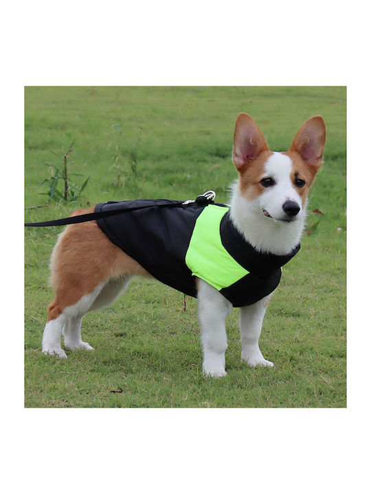 Animal Dog Coat Green Back Length 41 cm