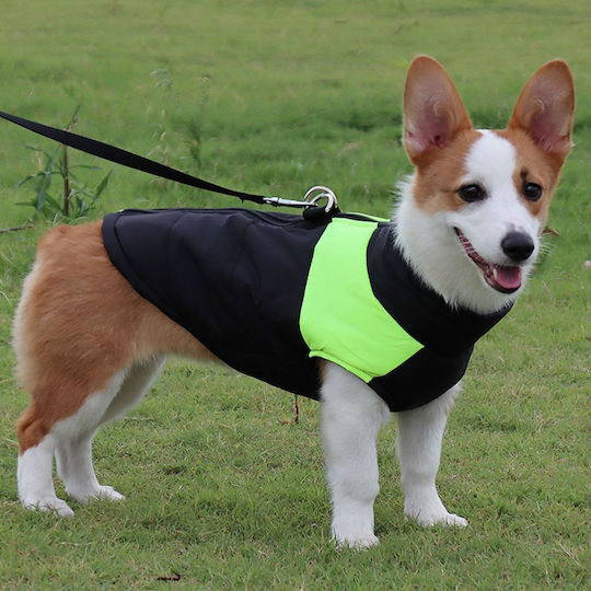 Animal Dog Coat Green Back Length 32 cm