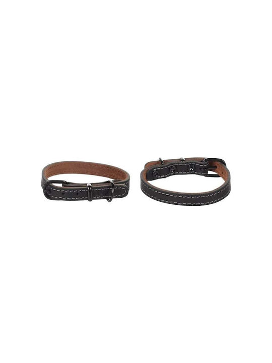 Flamingo Hundehalsband Collar Montana Leder Schwarzes M 37-45cm X 20mm