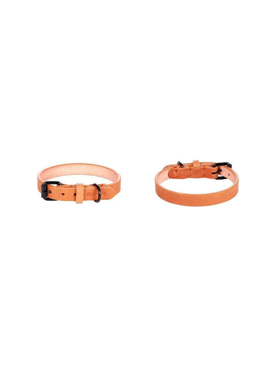 Flamingo Κολάρο Σκύλου Collar Leano Cognac L 43-53cm X 25mm