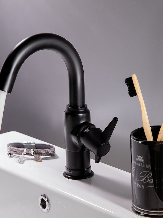 Deante Mixing Sink Faucet