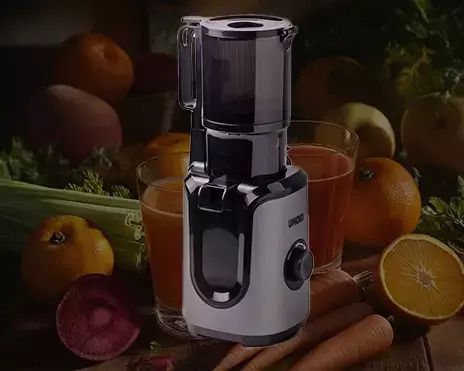 Unold Αποχυμωτής Αργής Σύνθλιψης 300W Γκρι