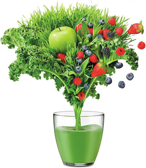 Sage Nutri Juicer Cold Αποχυμωτής 1250W Γκρι