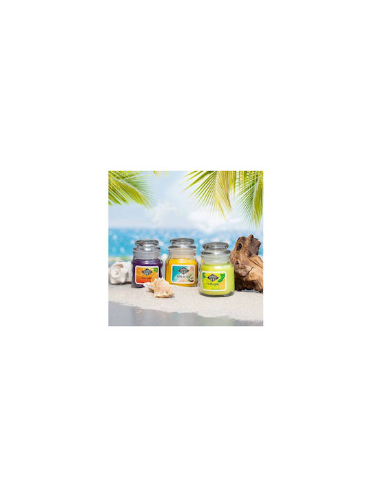 Candle Light Aromatic Soy Candle in Jar with Cotton Perfume 85g