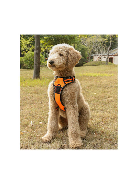 Animal Dog Harness Vest Black Medium 22.08.25492