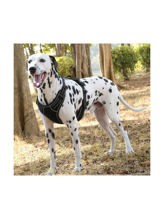 Animal Dog Harness Vest Orange X-Large 22.08.25500
