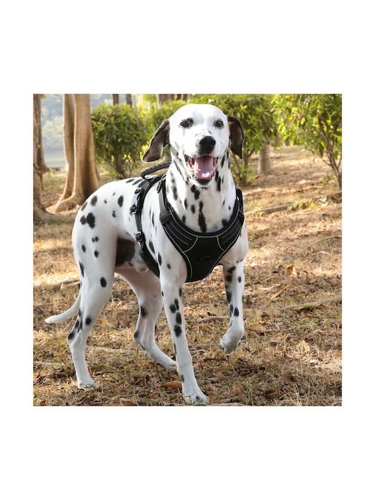 Animal Γιλέκο Μπλε Medium