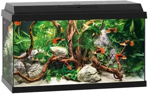 Juwel Primo 70 Led Fish Aquarium Capacity 70lt with Lighting, Heater, Filter and 31x44x43.5cm White