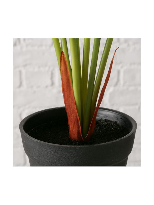 Künstliche Alocasia Topfpflanze Höhe 51 cm 2 Varianten