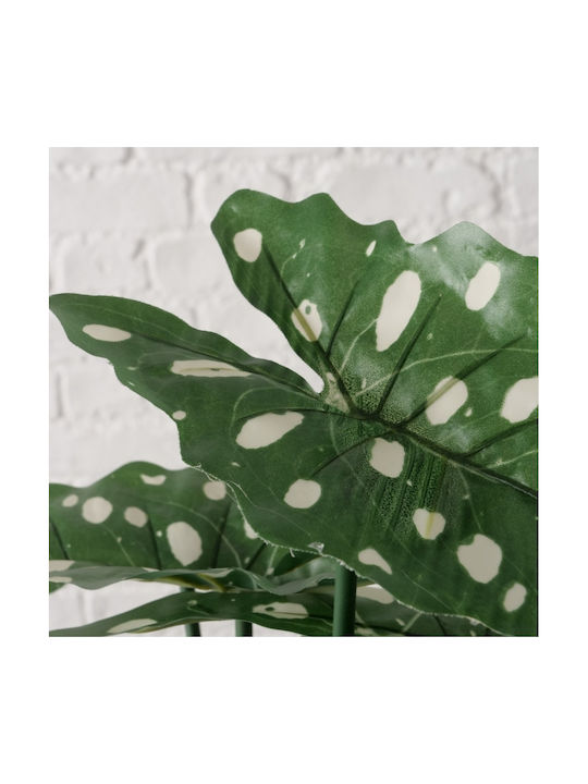 Künstliche Alocasia Topfpflanze Höhe 51 cm 2 Varianten
