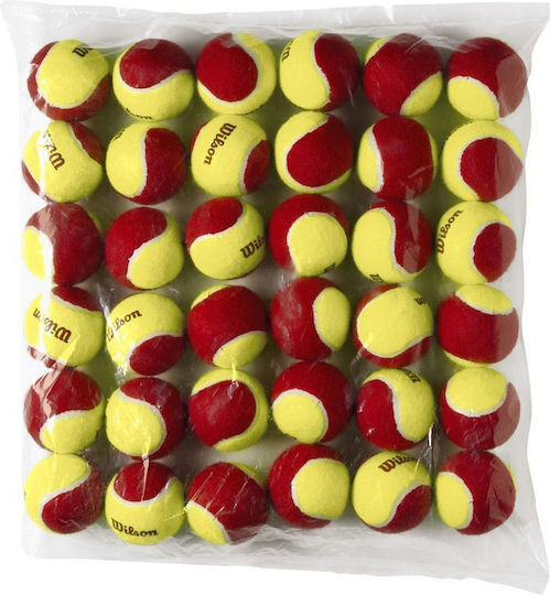 Wilson Starter Rote Tennisbälle 36Stücke