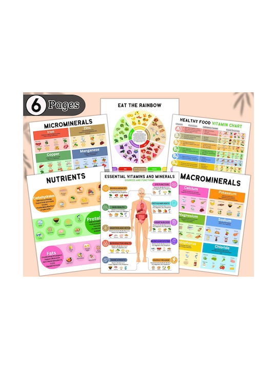 Set 6 A4 Poster Ernährung – Vitamine Mineralien Makronährstoffe Gesunde Ernährung Anleitung Bildungskarten Gesunde Lebensmittel