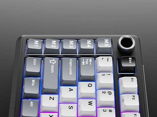 Royal Kludge RK-L75 Drahtlos Gaming Mechanische Tastatur 75% mit Benutzerdefiniert Beige Schaltern und RGB-Beleuchtung (Englisch US) Gray