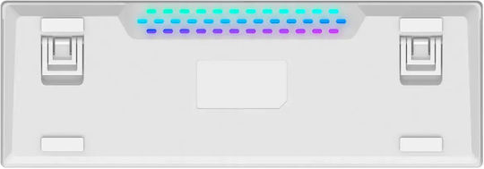 Rampage Radiant K11 RGB Wireless Gaming Mechanical Keyboard 60% with Outemu Red switches and Illuminated keys (English US) White