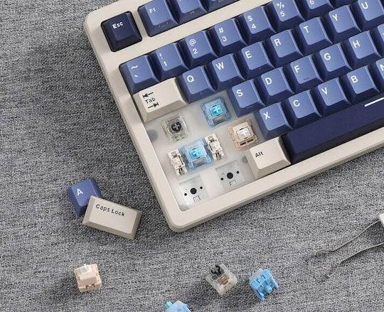 Royal Kludge S85 Wireless Gaming Mechanical Keyboard Tenkeyless with RGB lighting (English US) Beige/Blue