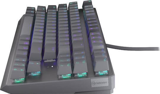 Endorfy Thock V2 Gaming Keyboard Tenkeyless with RGB lighting (English US)