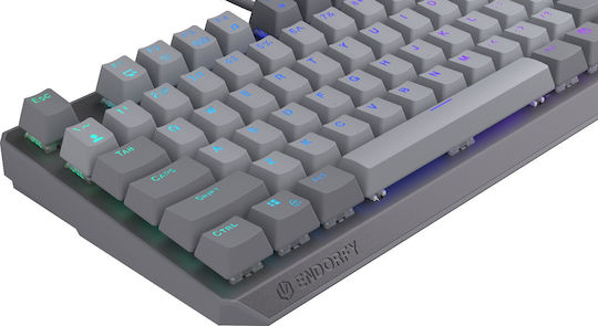 Endorfy Thock V2 Gaming Keyboard Tenkeyless with RGB lighting (English US)
