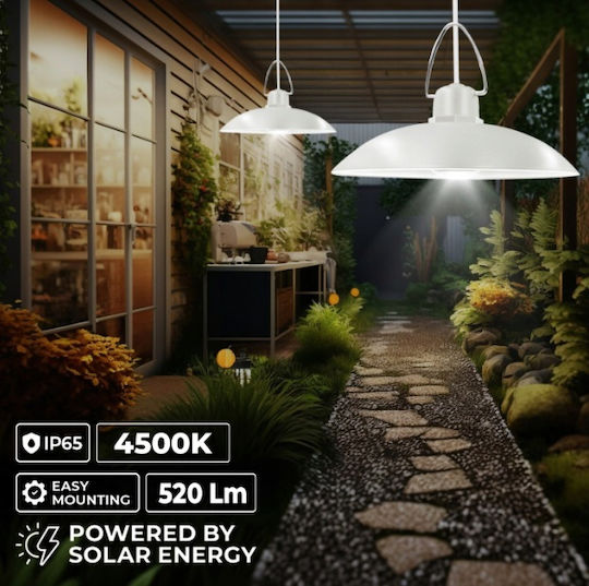 Forever Light Sunari Fls-80 Solar Lighting System 2 Lamps