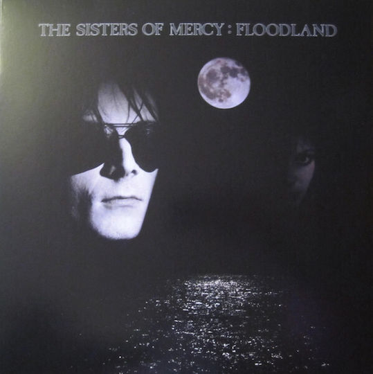 Floodland Vinyl