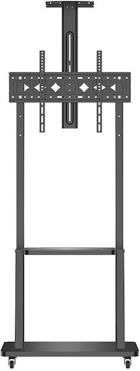 Noozy 41066 Βάση Τηλεόρασης Δαπέδου έως 50kg