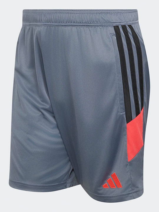 Essentials Sport Herren Shorts Grau