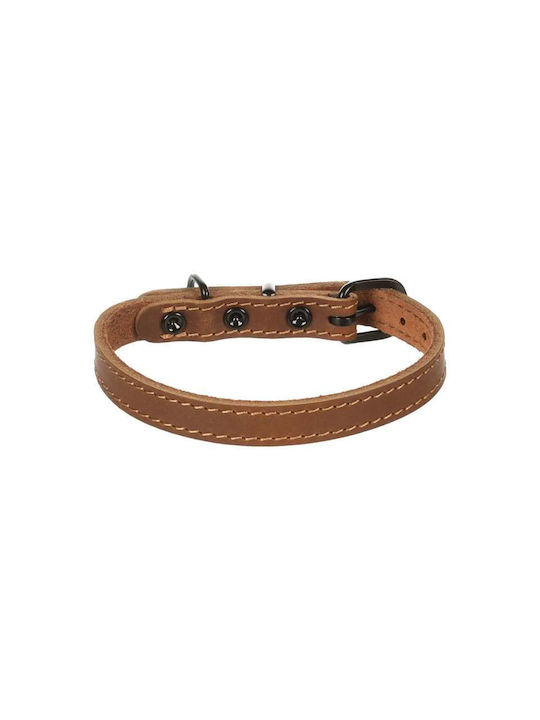 Flamingo Hundehalsband Montana Leder Cognac Größe S 29,5-35,5cm x 15mm Flamingo Hundehalsband Montana Leder Cognac Größe S 29,5-35,5cm x 15mm