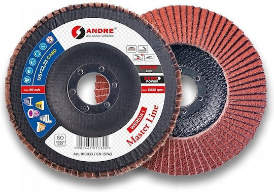 Andre Flap Disc 125mm P120 Zirconium Pro Line Version Iv