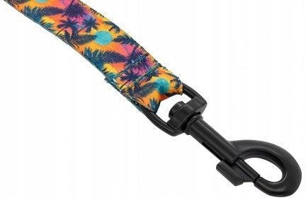 Barry King Dog Leash Lead Strap